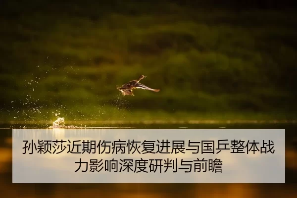 sun-ying-sha-jin-qi-shang-bing-hui-fu-jin-zhan-yu-guo-ping-zheng-ti-zhan-li-ying-xiang-shen-du-yan-pan-yu-qian-zhan-2-925.jpg